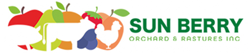 sun berry logo